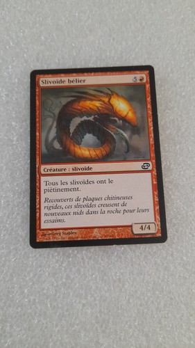 Carte mtg magic the gathering - carte,