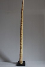 taxidermie réplique rostre cabinet de curiosité taxidermy dent de narval odittie