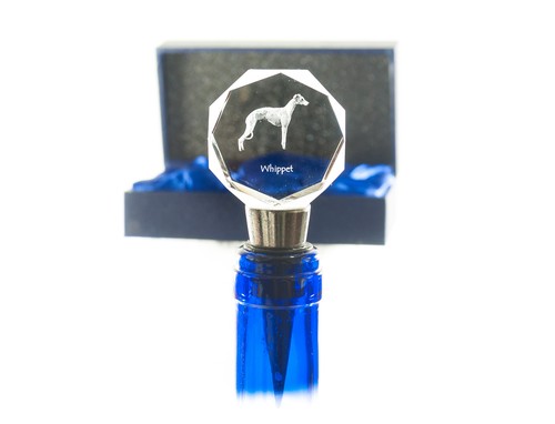 Whippet petit lévrier - petit,