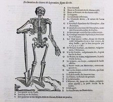 Anatomie 1614 Squelette Os
