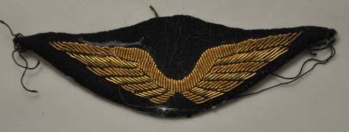 Insigne tissu ailes aviation - -,