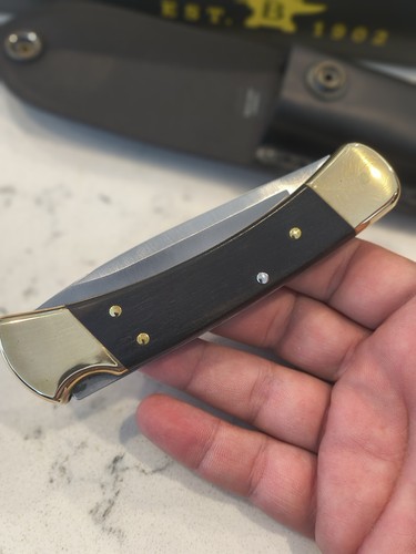 Buck 110 drop point - 110, folding