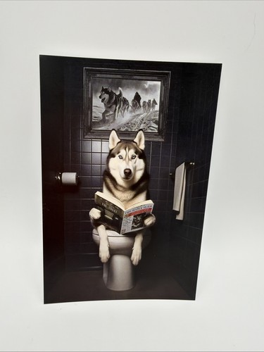 Affiche humoristique husky - humoristique,