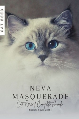 Neva masquerade cat breed - neva, masquerade: