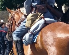 Reproduction de courroies de