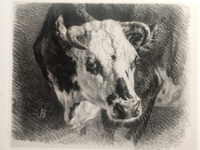 J.R. BRASCASSAT, "Tête de