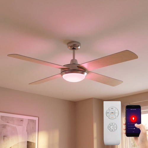 Ventilateur plafond - ventilateur,