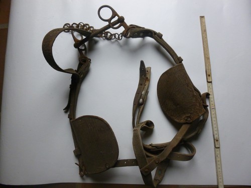 Oeilleres mors chevaux - oeilleres, +