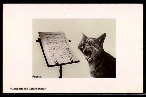 Carte postale come - carte,