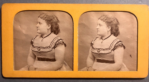 Rare vue stéréoscopique - vue,