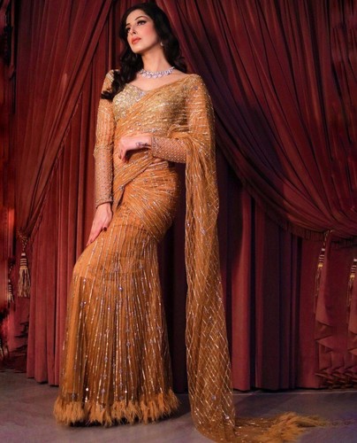 Nouveau sari indien