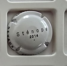     CAPSULE DE CHAMPAGNE