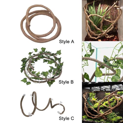 Lianes pour terrarium - lianes,
