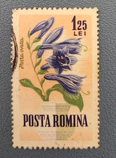 TIMBRE ROUMANIE ROMANA ROMINA 1964 FLORE FLEUR FLOWER HOSTA OVATA