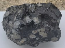 Obsidienne flocon de neige, pierre brute de 412g, longueur: 8cm