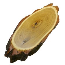 Plaque De Trophée En Acacia