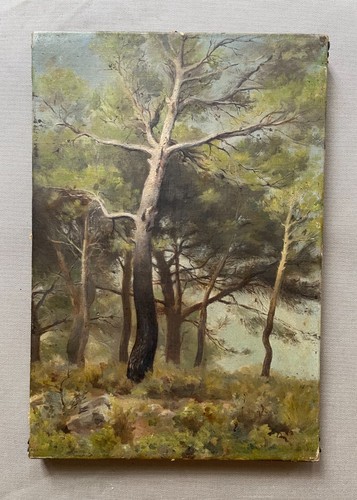 Pins huile sur - sur, tableau