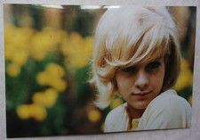 Sylvie Vartan lot de 32 photos