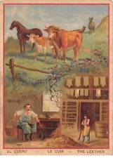 Chromos - COR14933 - Hommes -