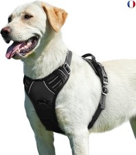 Eagloo Harnais Chien, Harnais Anti Traction pour Chien Réfléchissant Réglable, F