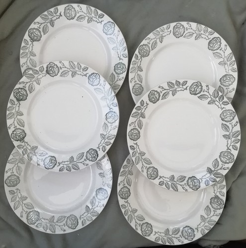 Assiettes plates vintage - assiettes,