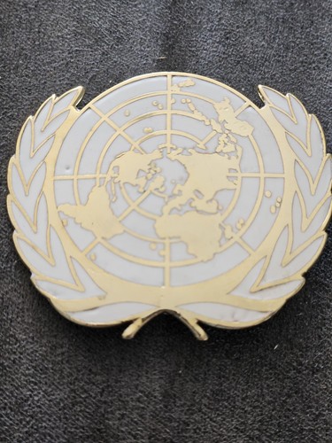 Insigne beret militaire - insigne,