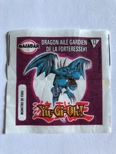 Dragon ailé gardien de la