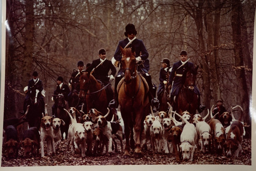 Photo argentique france chasse - photo,