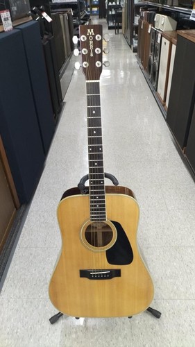 Guitare acoustique électrique