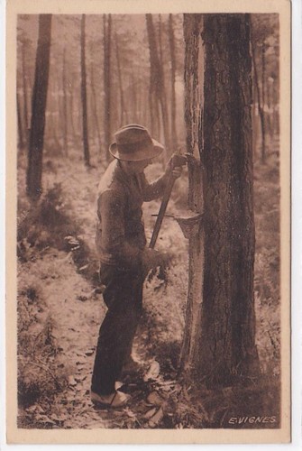 Carte postale ancienne - carte,