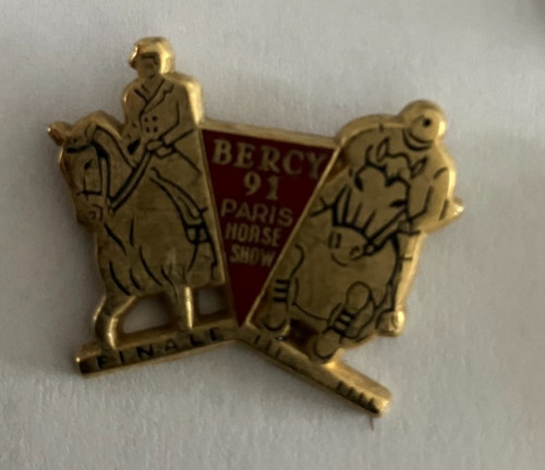 Pin bercy 91 paris - - pin's,