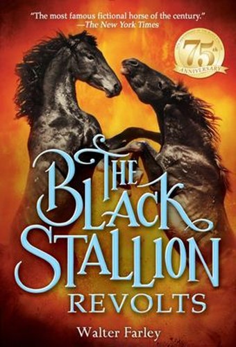 Cheval noir rebelle - cheval,