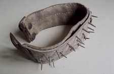 Cabinet de Curiosité 