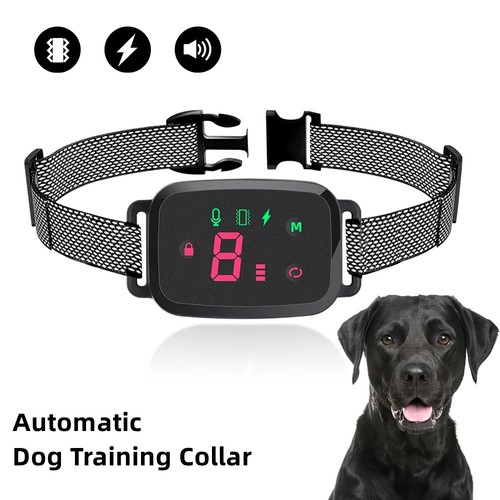 Collier anti aboiement chien - anti,