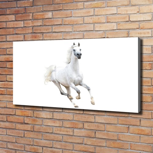 Tulup image sur toile - image,