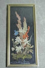 Real EDELWEISS Dried Flowers Bouquet Framed SWISS ALPS , Signed by Artist