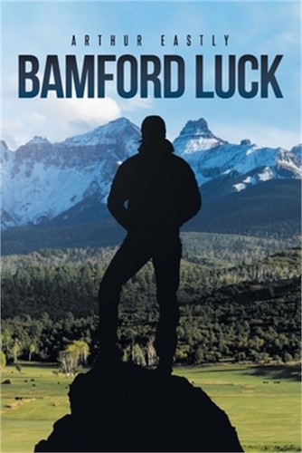 Bamford luck paperback or - (paperback,