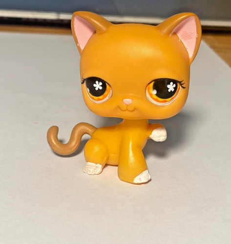 Littlest pet shop hasbro - pet, chat