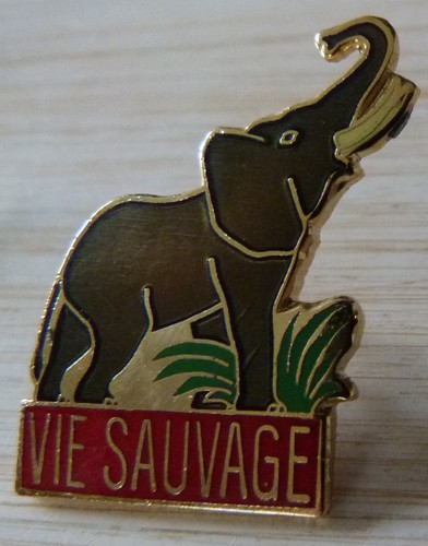 Pin animal vie sauvage - pin's,