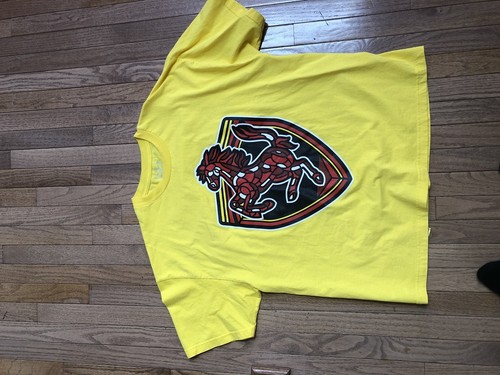 Air jordan ferrari - air,