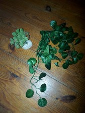 Lot Décorations Terrarium