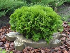 GRAND MOULE TORTUE TORTUE