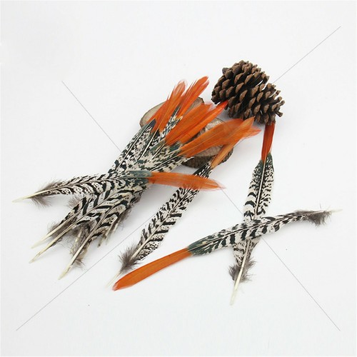Chapeau plumes faisan - en, de