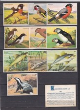 lot 10 images biscottes Saint-Luc. TB