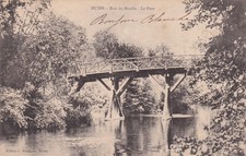 🦬 Carte Postale - Postcard