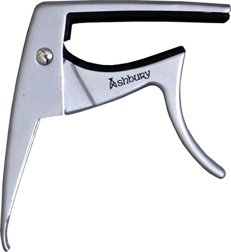 Viking argent couleur - viking,