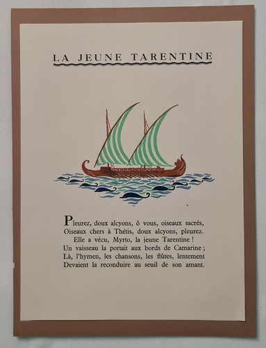 Jeune tarentine jeandroit - la,