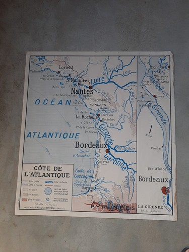 Affiche scolaire rossignol - affiche,