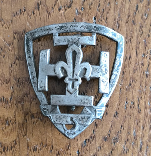 Insigne scout france - scout,