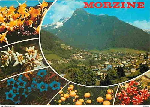 Carte postale morzine - postale,